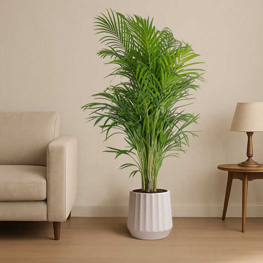 Sculpted Rythym Ceramic Pot