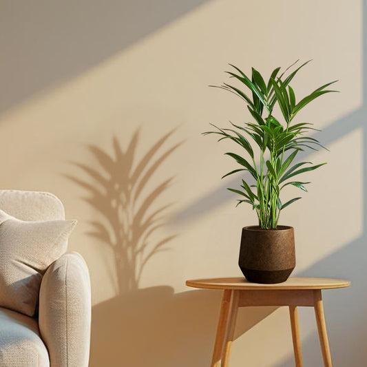 Rustic Brona Ceramic Pot