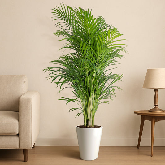 Classic Vellum Ceramic Pot