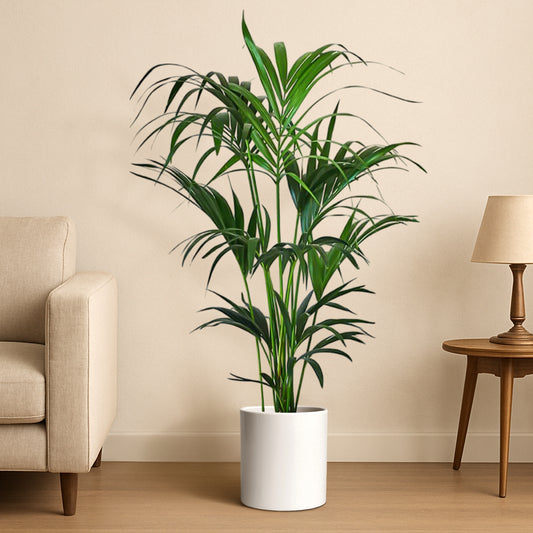 Sleek Ivora Ceramic Pot